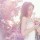 樱飞@蝶舞#的季节
