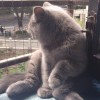 。。。
