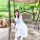 安如少年初如梦ジ