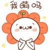 Gypsophila