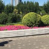 健身，♂5公里慢跑