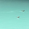小桥流水