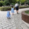 鸭子LOVE老鼠