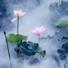 月牙儿