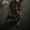 妳是♂硪の蓶①ぺ♠