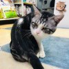 风吟