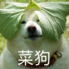 爱国爱民爱你妹1m*