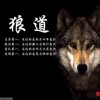 孤狼