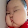 金鹤