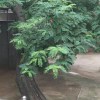 伤痕(^_^)