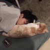 轻雾。