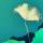%%瓜➪瓜%%%%%