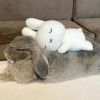 小屁屁～