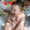 流浪者
