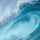 浮生若夢