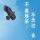 鹰击长空
