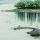 海客谈瀛洲
