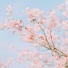 风卷云舒