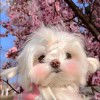 Sunny