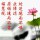 开心快乐