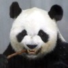 天王盖地虎biu  biu  biu