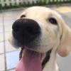 ＂A、木木❤ゞ、