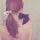 ♚vae