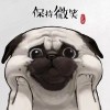 丶无敌的冬瓜