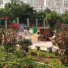 爻帆船