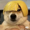 风をした
