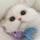 fluffy kitten(๑• . •๑)