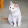 老变态