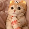 ゞTaoˇ寂寞い
