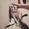 老朽       -