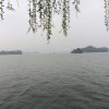 放心去飞