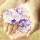栀子花