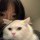 大橘猫 Nicole.