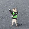 小马爸爸