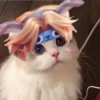 ゛  疯子