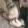 WSN@