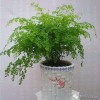 狙击手