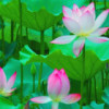 千百荷