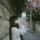 (๑ºั╰╯ºั๑)    L♀L
