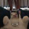 Whataya Want From Me