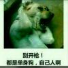 遥观覃佳俊