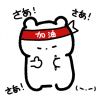 萌萌酱●ｖ●