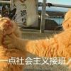 星纹