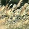 ~菰襡d耣廻~