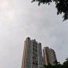 想不出来_4061