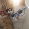 逝水❈~❈流年
